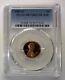 1987 S Pcgs 70 Rd Dcam Preuve Lincoln Cent Top Pop! Seulement 524 En Pcgs 70